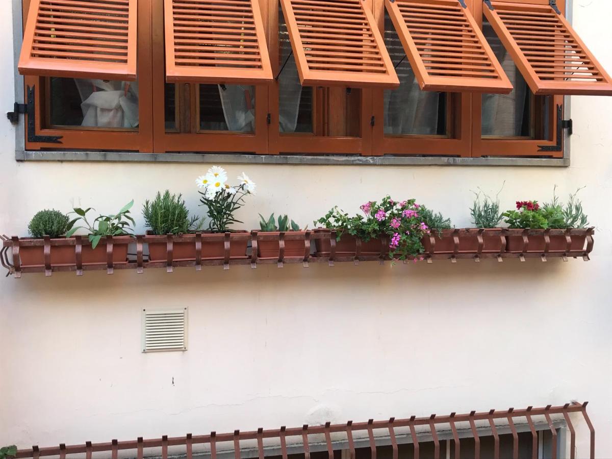 La Casa Fra Gli Ulivi Apartment Lerici Ngoại thất bức ảnh